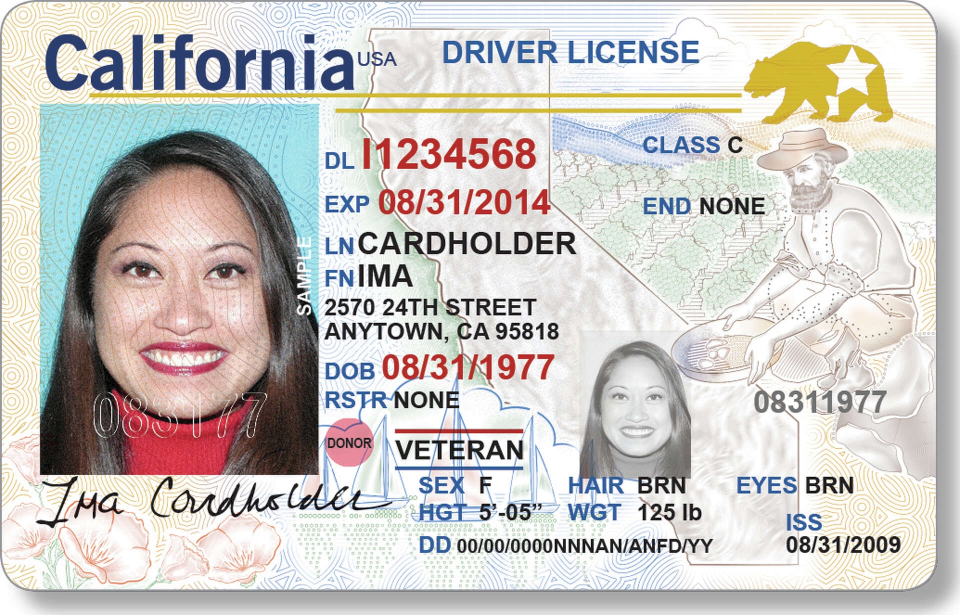 California Driver s License A New Look And Procedure California Driver s License A New Look And Procedure