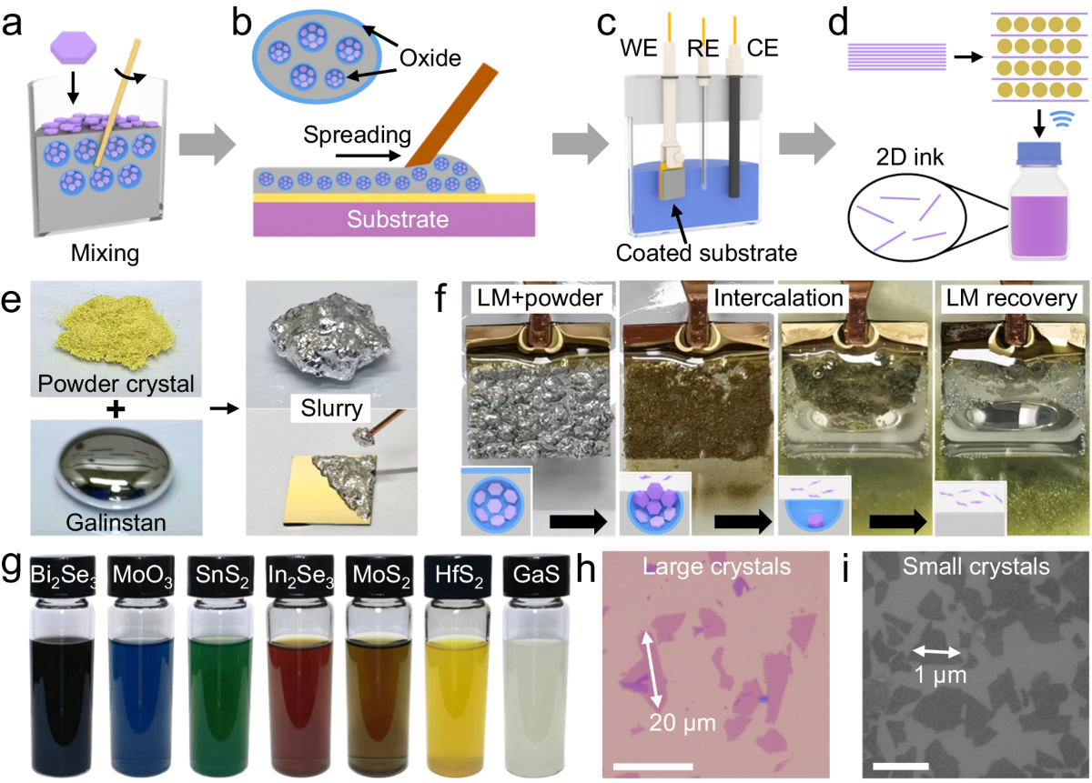 A Library Of 2D Electronic Material Inks Synthesized By Liquid metal assisted Intercalation Of Crystal Powders Nature Communications