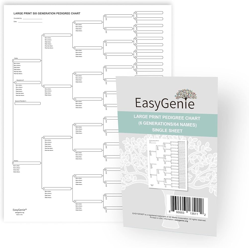 Amazon LARGE PRINT Blank Pedigree Chart 6 Generations 64 Names For Ancestry Single Sheet Archival Quality Genealogy Forms Arts Crafts Sewing