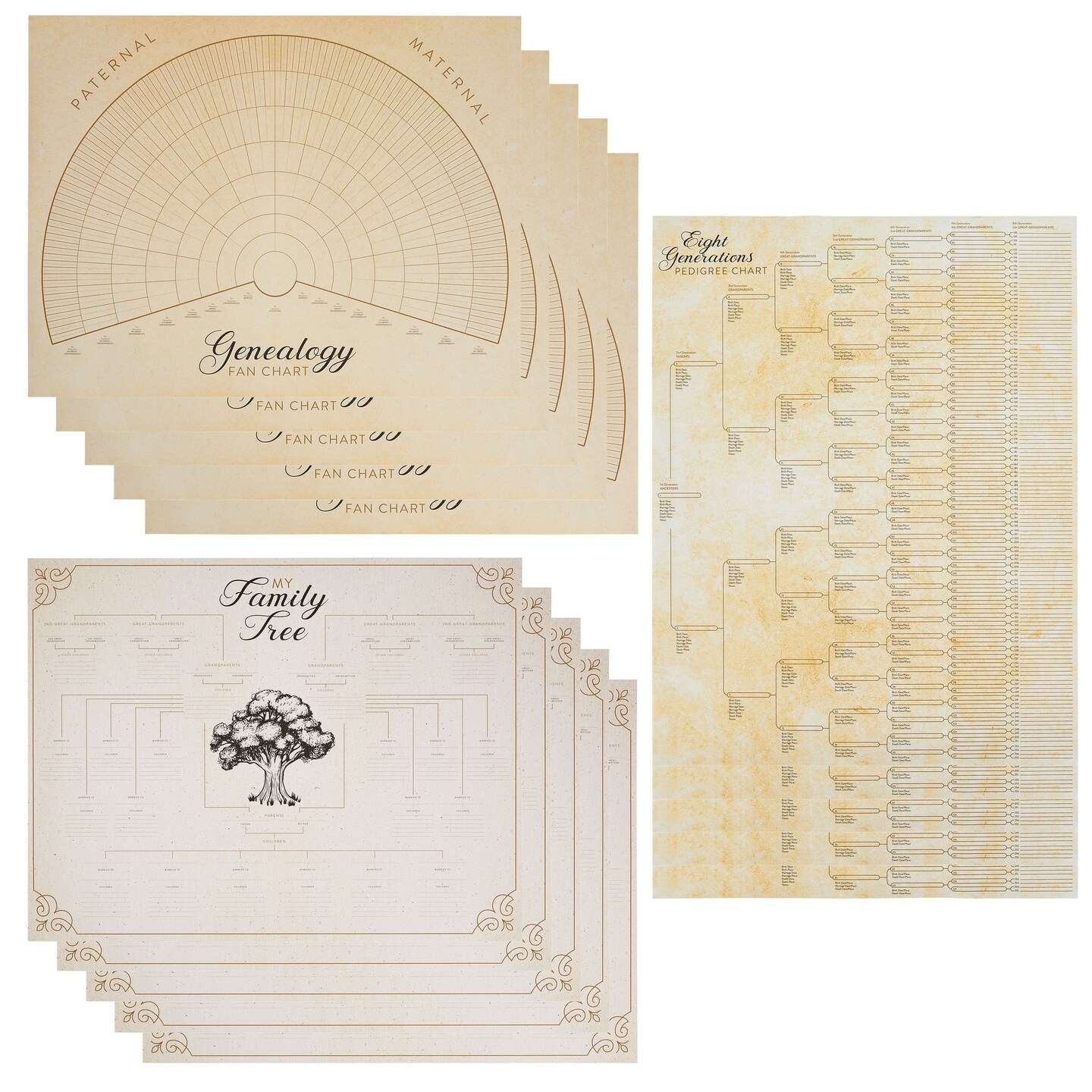 Blank Family Tree Genealogy Charts And Forms 17 X 22 Inches 15 Pack Michaels