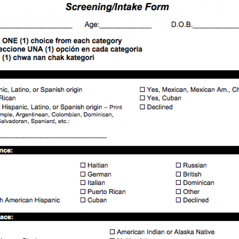 Demographic Sample Provider Intake Form Children s Services Council Of Broward County
