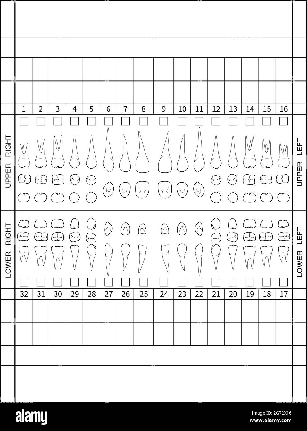 Printable Dental Charting Forms