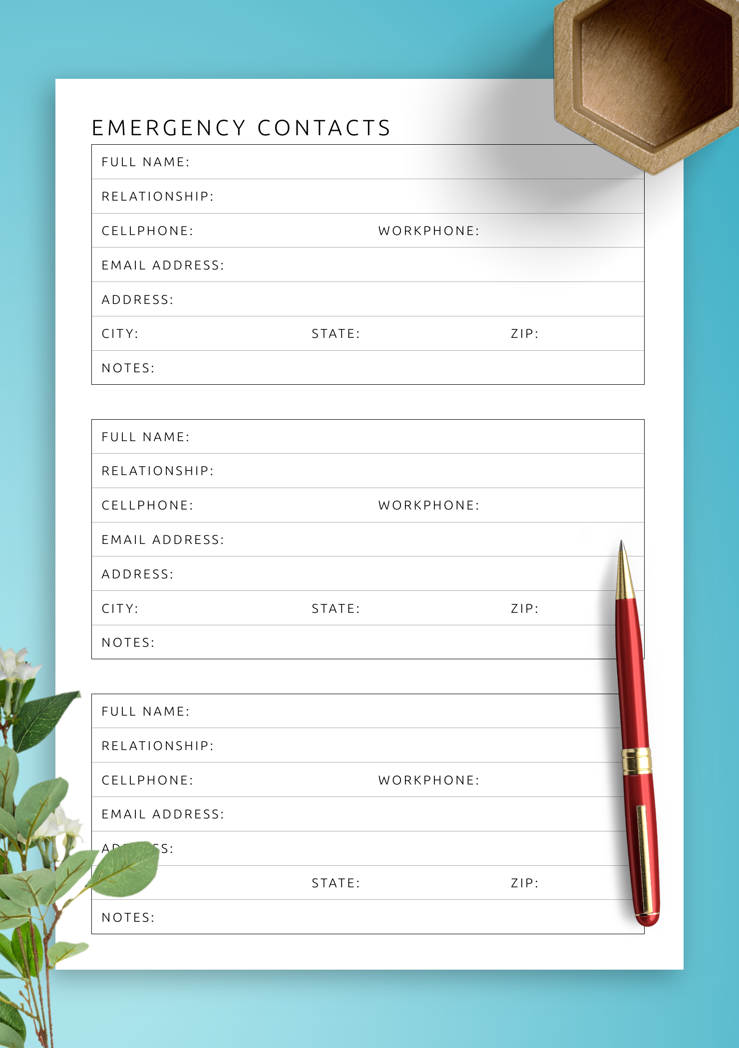 Emergency Contacts Template Quick Access In Any Situation
