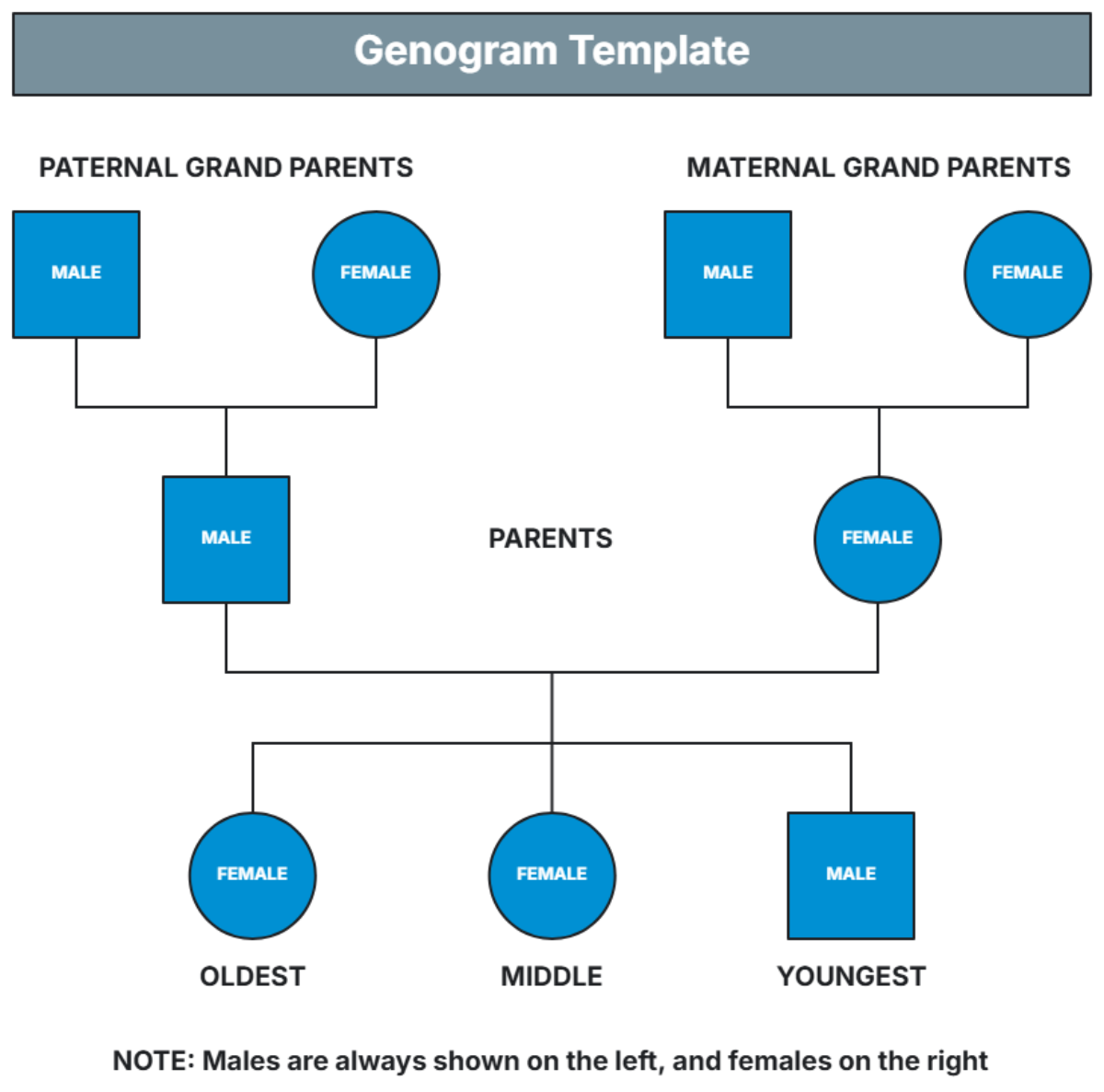 Free Genogram Templates To Edit Online