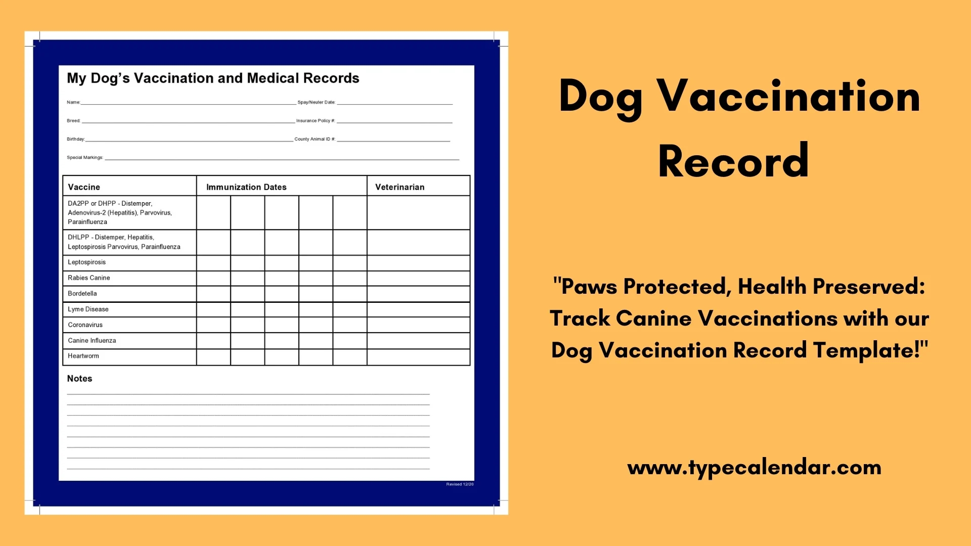 Free Printable Dog Vaccination Record Template Keep Your Pet s Health In Check Free Printable Dog Vaccination Record Template Keep Your Pet s Health In Check
