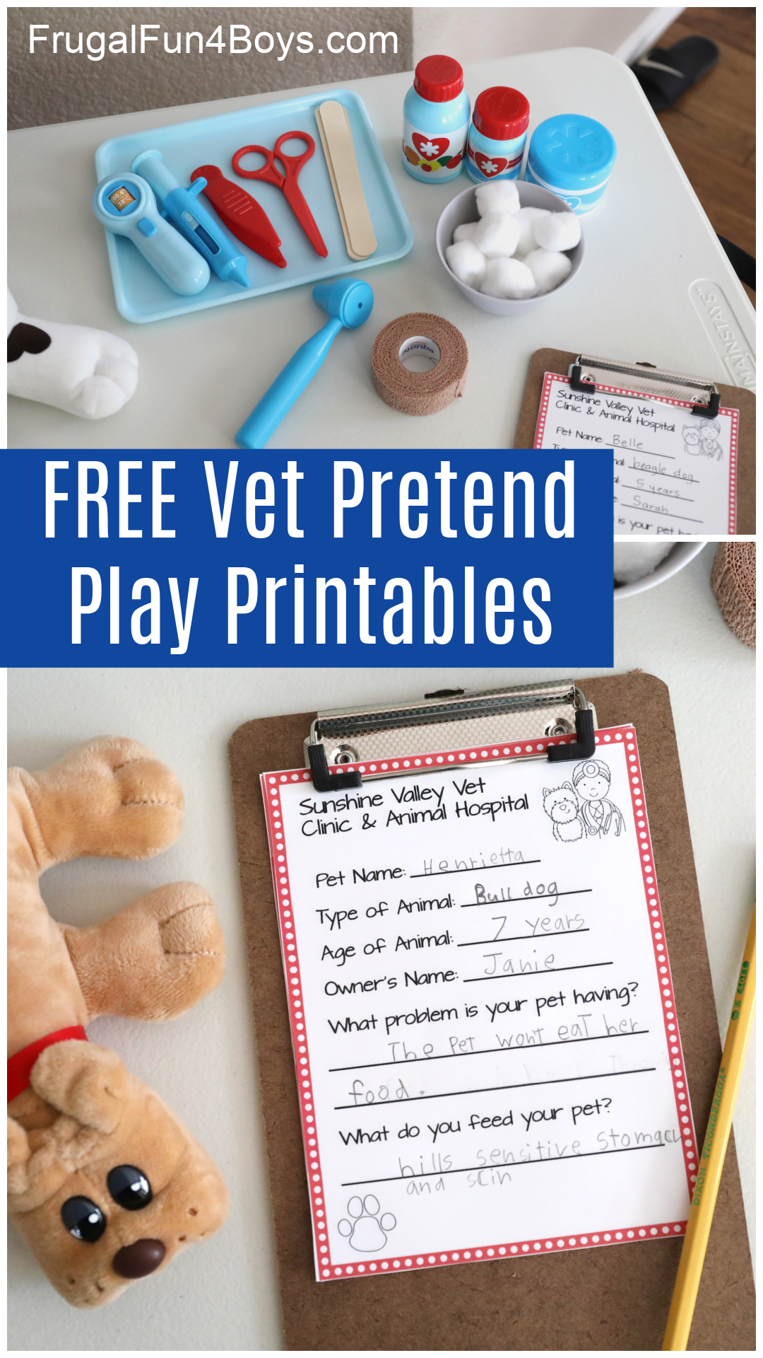Vet Forms Printables