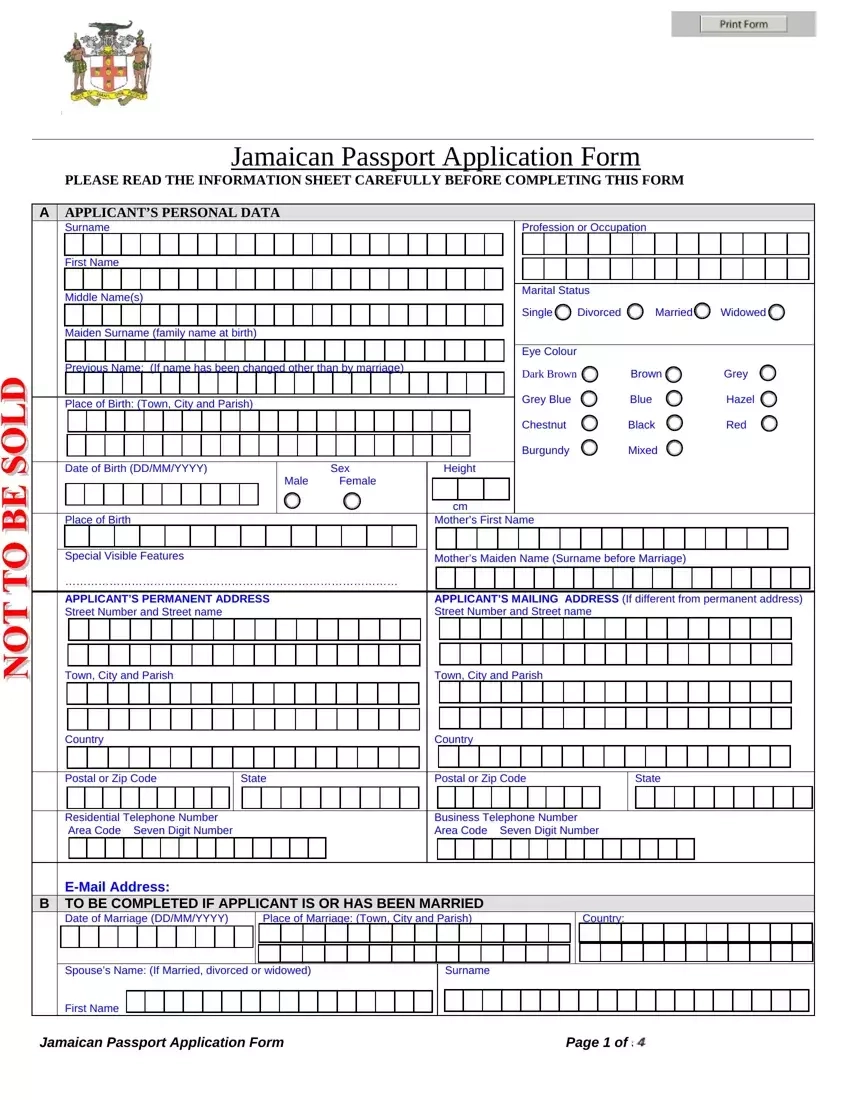 Jamaican Passport Application PDF Form FormsPal