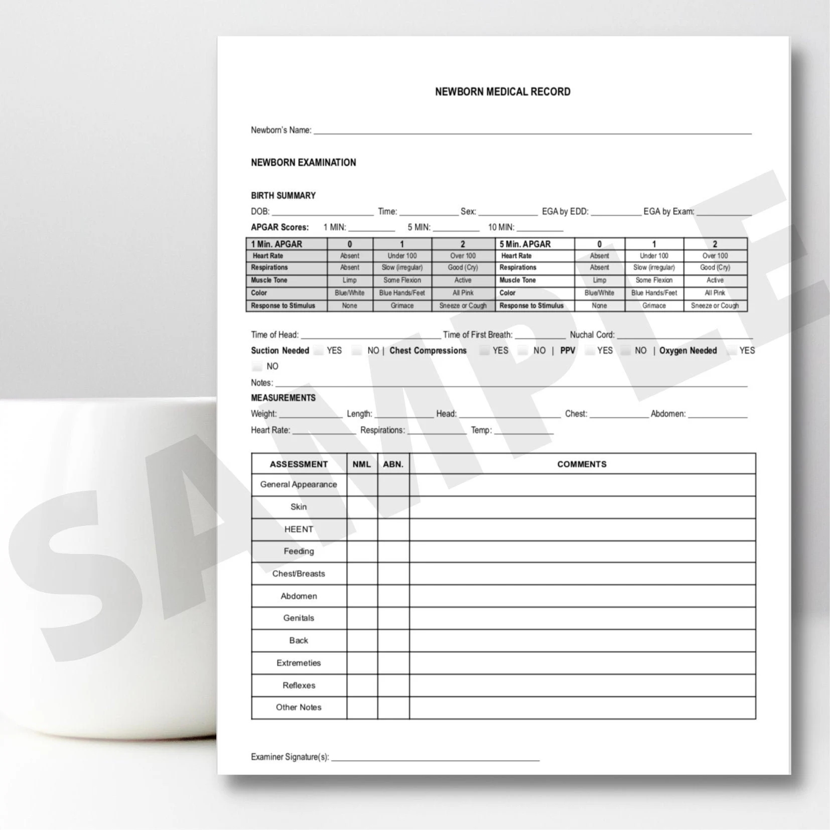 Midwife Client NEWBORN Paperwork Printable PDF For Midwifery Practices Etsy Midwife Client NEWBORN Paperwork Printable PDF For Midwifery Practices Etsy