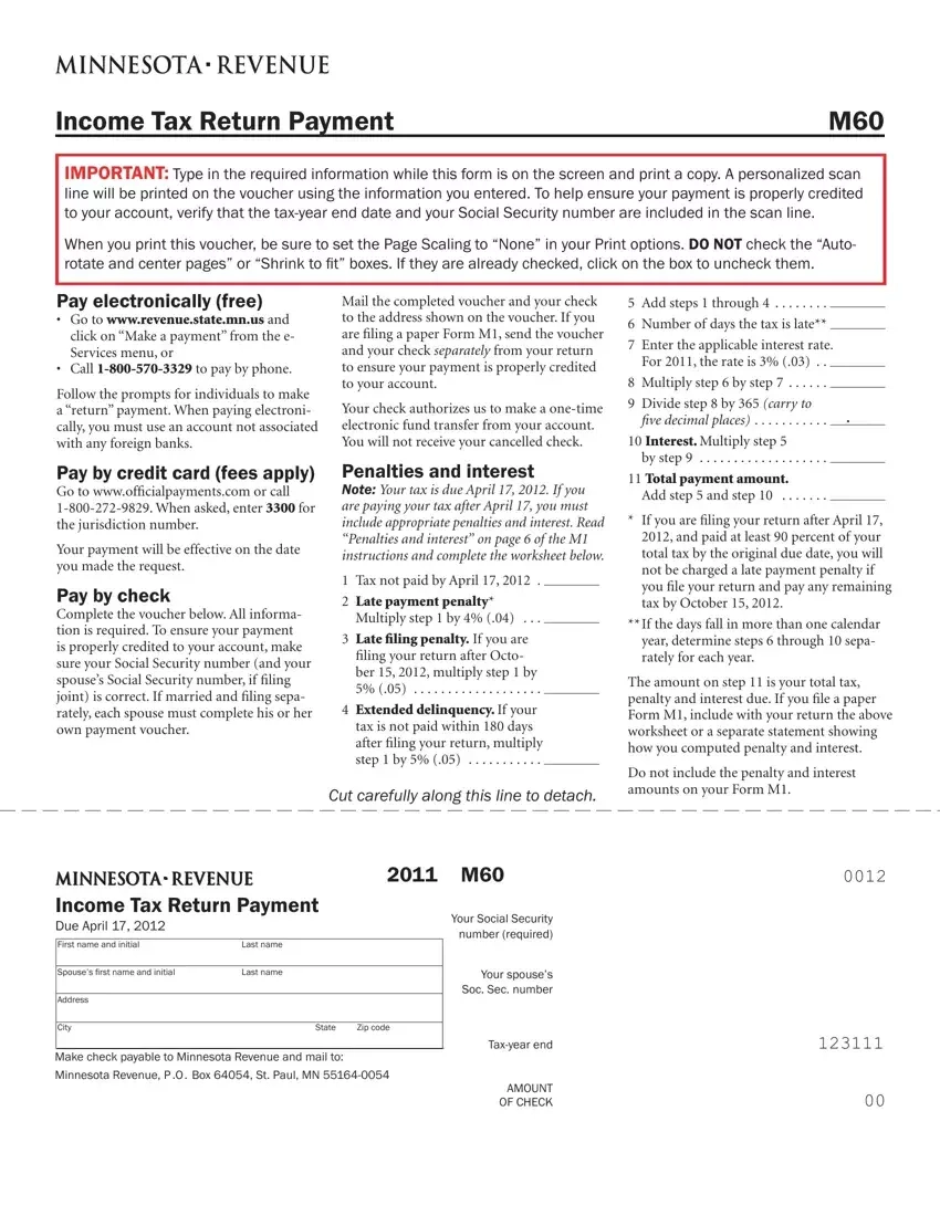 Mn Tax Return Payment Fill Out Printable PDF Forms Online