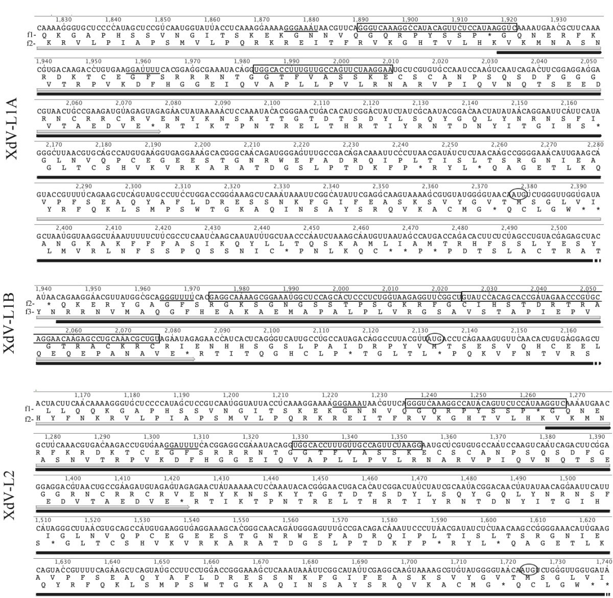 Printable Va Form 40 1330
