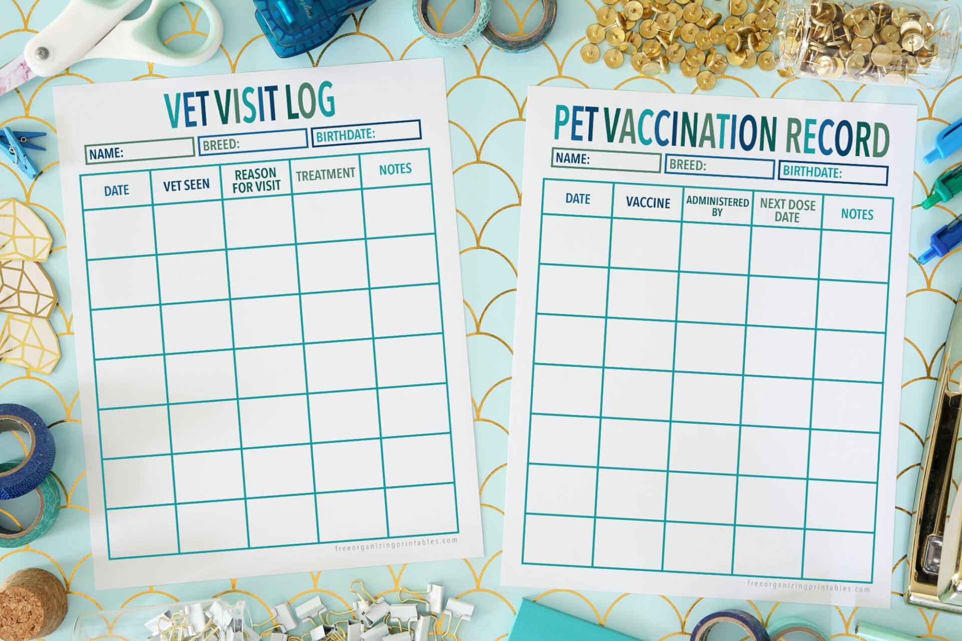 Printable Vet Record Template And Pet Vaccination Record Printable Vet Record Template And Pet Vaccination Record