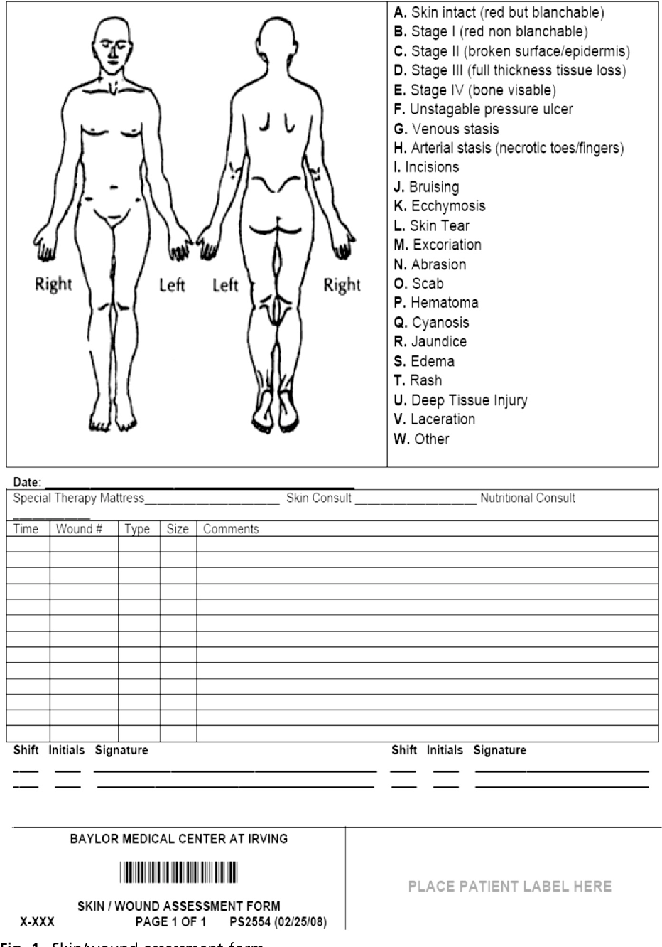 The Skin Sheet Printable
