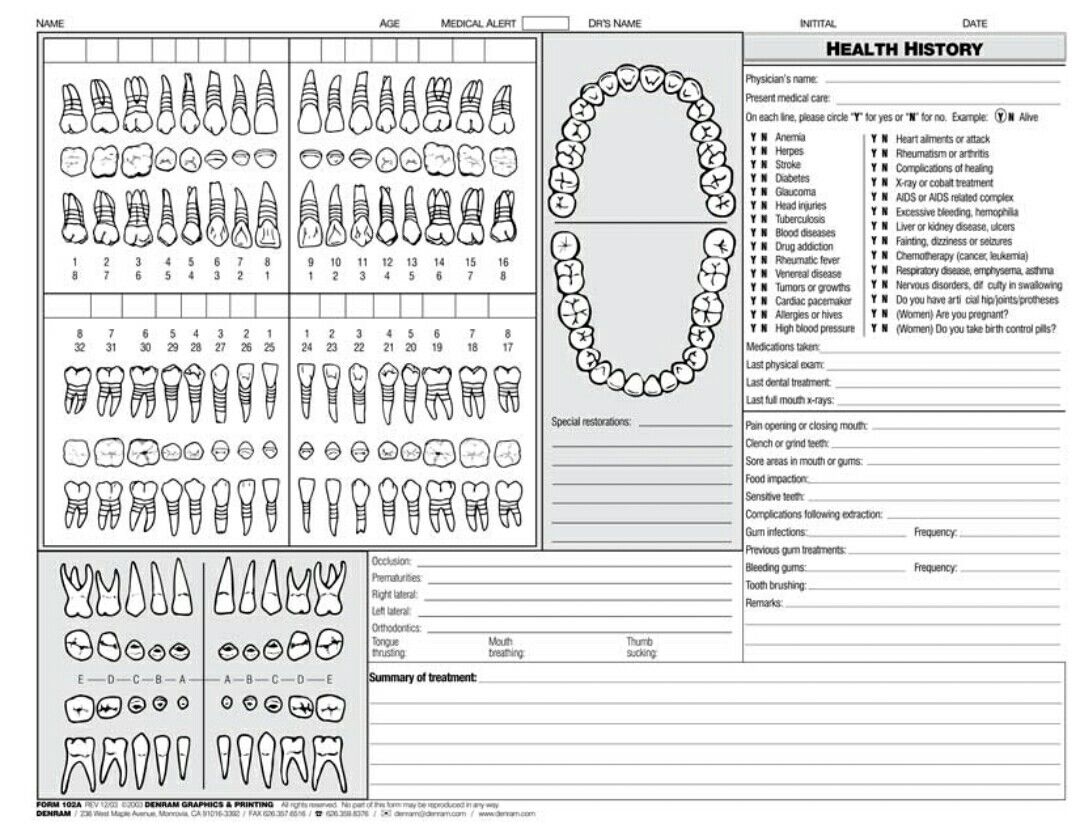 Tooth Chart Full Sheet 15 Free PDF Printables Printablee
