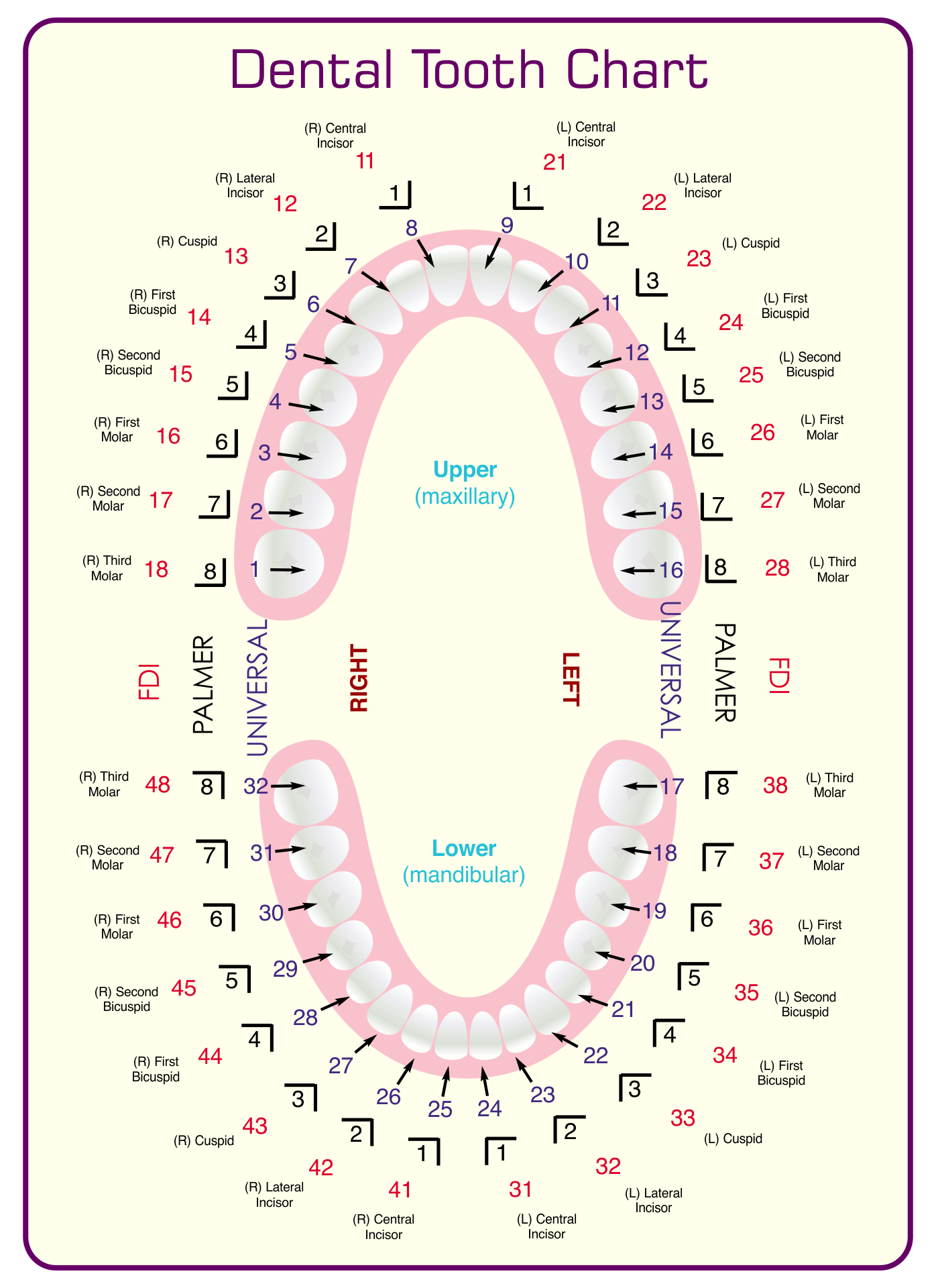 Free Printable Dental Charting Forms